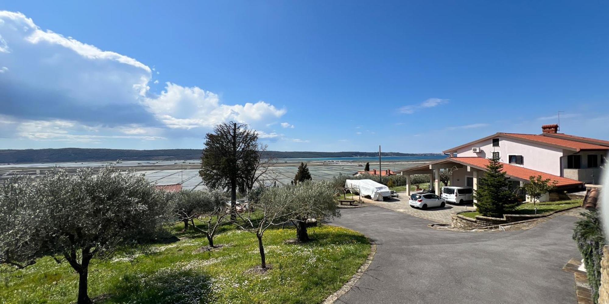 Blue Horizon Apartments Seca Portorož Buitenkant foto